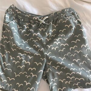 Rylee + Cru Boys Green Swim Shorts with White Seagull Print